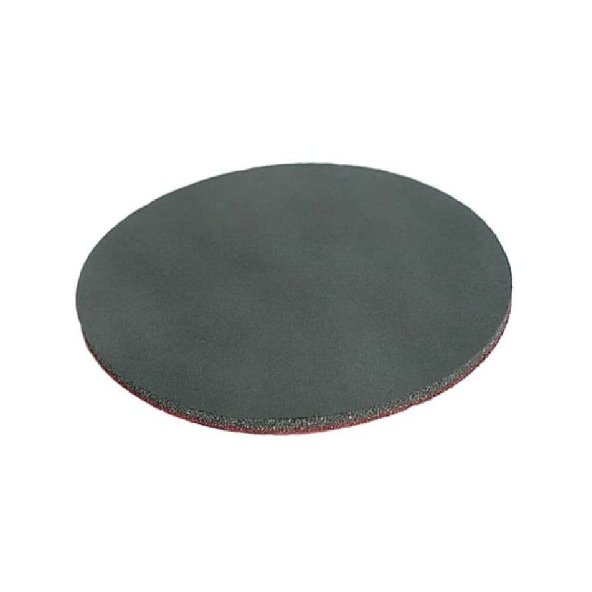 Mirka Abralon 9-in. 360 Grit Hook and Loop Sanding Disc, 10-Pack (8A-616-360)