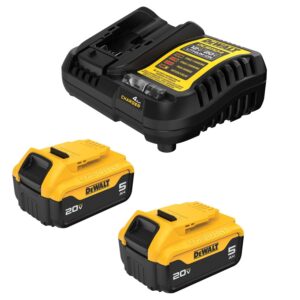 DeWalt DCB205-2C 20V MAX XR 5.0Ah Battery & Charger Starter Kit