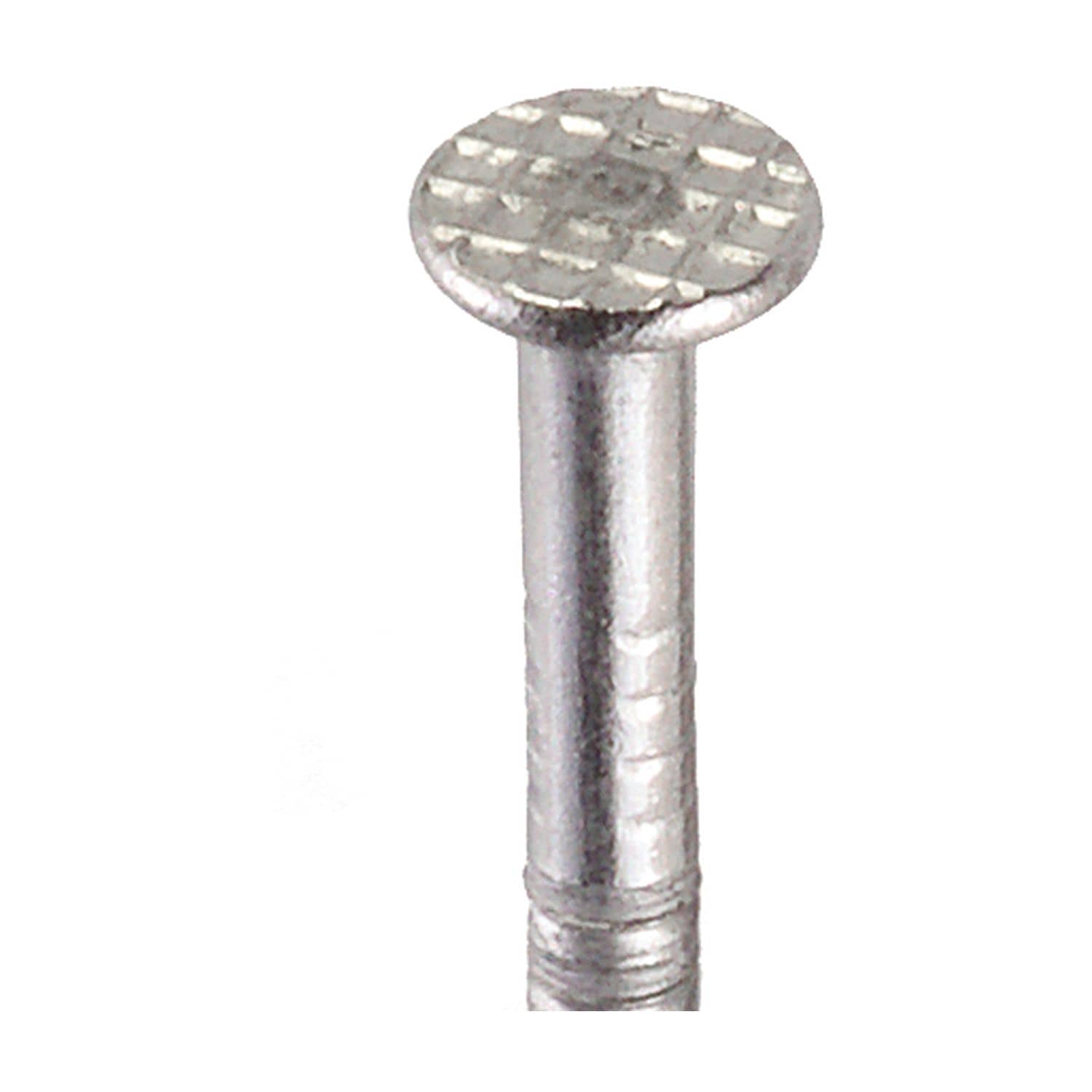 Simpson Strong-Tie T12SNDB Wood Siding Nail, 3-1/4-in. x .113-in. Type 316 Stainless Steel, 25-lb.